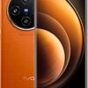 Vivo X100
